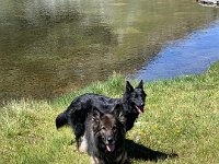 Shani und Gitan